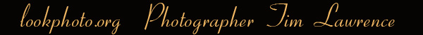                               lookphoto           